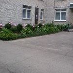 20150619_120829