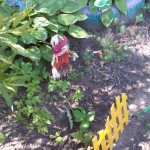 20150701_103510